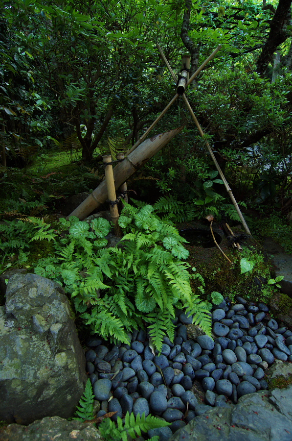 IMGP3703.jpg(557316 byte)