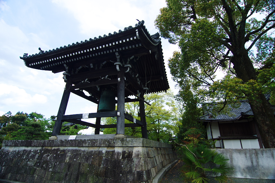 IMGP3705.jpg(466886 byte)