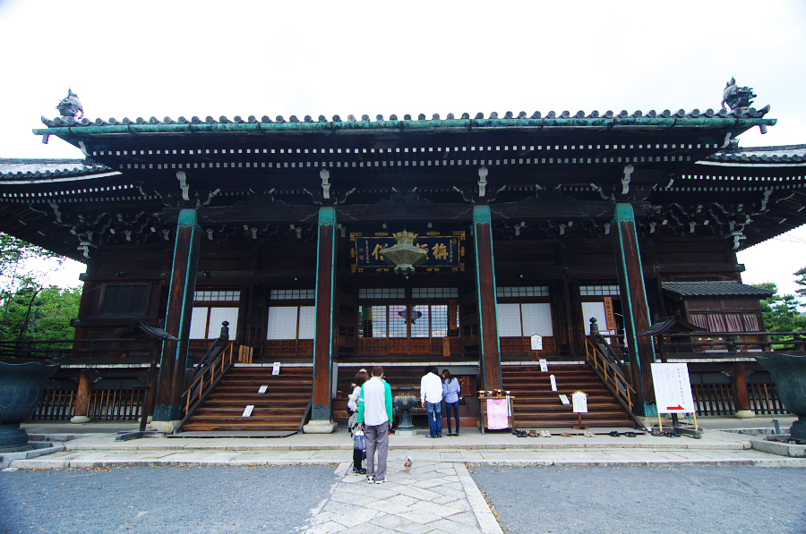 IMGP3708.jpg(359296 byte)