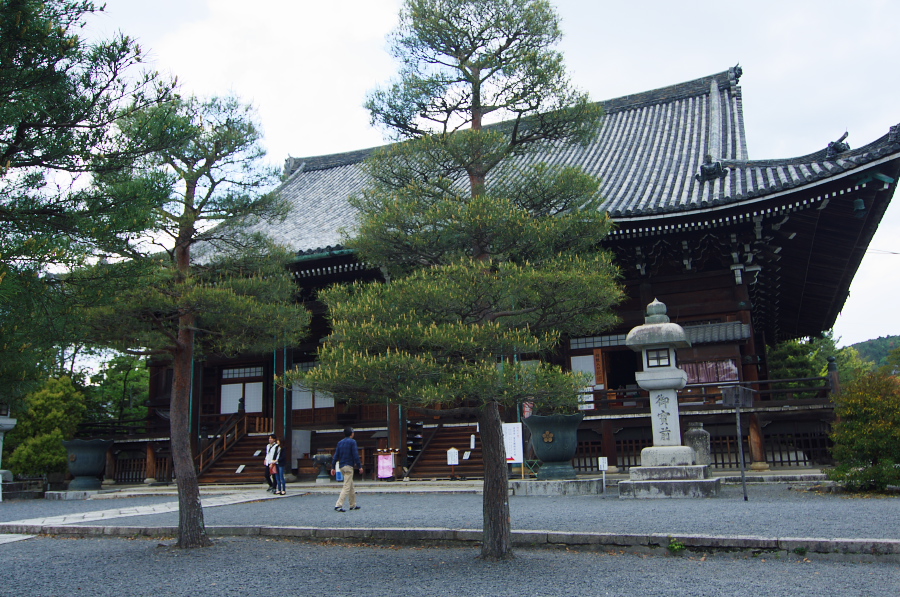 IMGP3714.jpg(456731 byte)