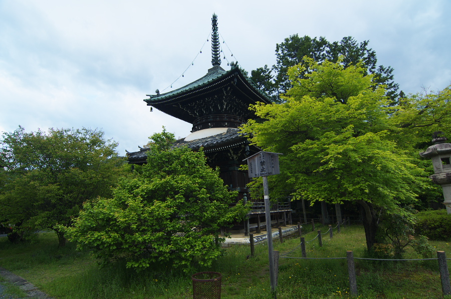 IMGP3715.jpg(421270 byte)