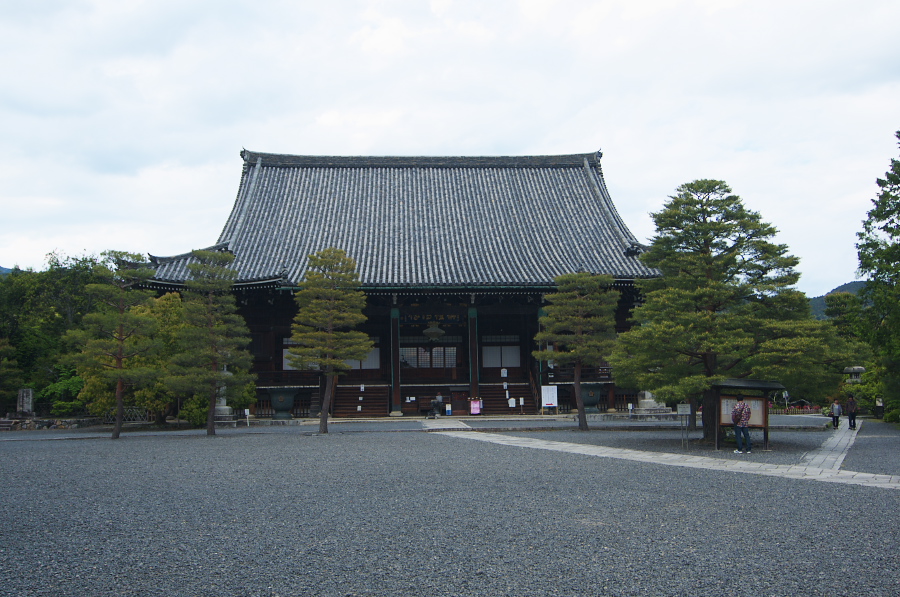 IMGP3725.jpg(350768 byte)