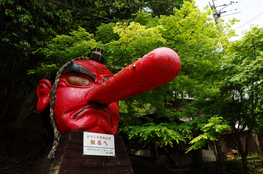 IMGP3927.jpg(521379 byte)