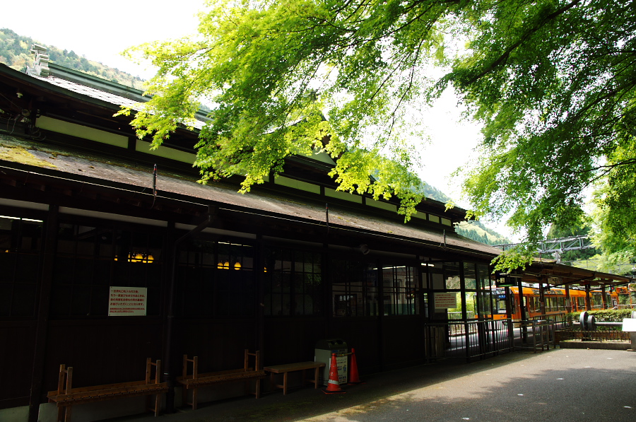 IMGP3929.jpg(474203 byte)