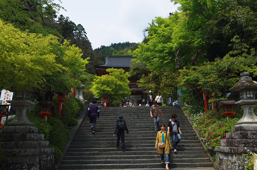 IMGP3939.jpg(502900 byte)