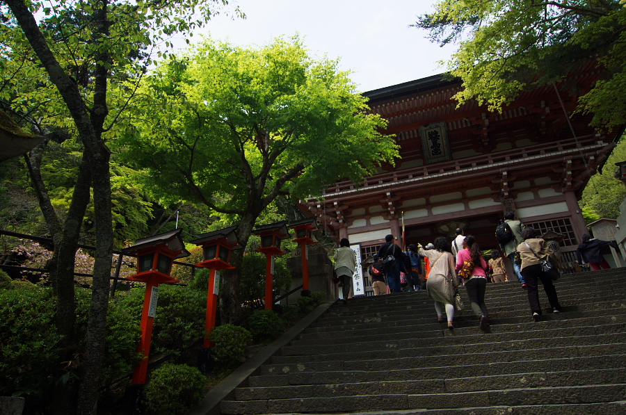 IMGP3949.jpg(484223 byte)