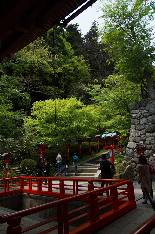 IMGP3956.jpg(500264 byte)