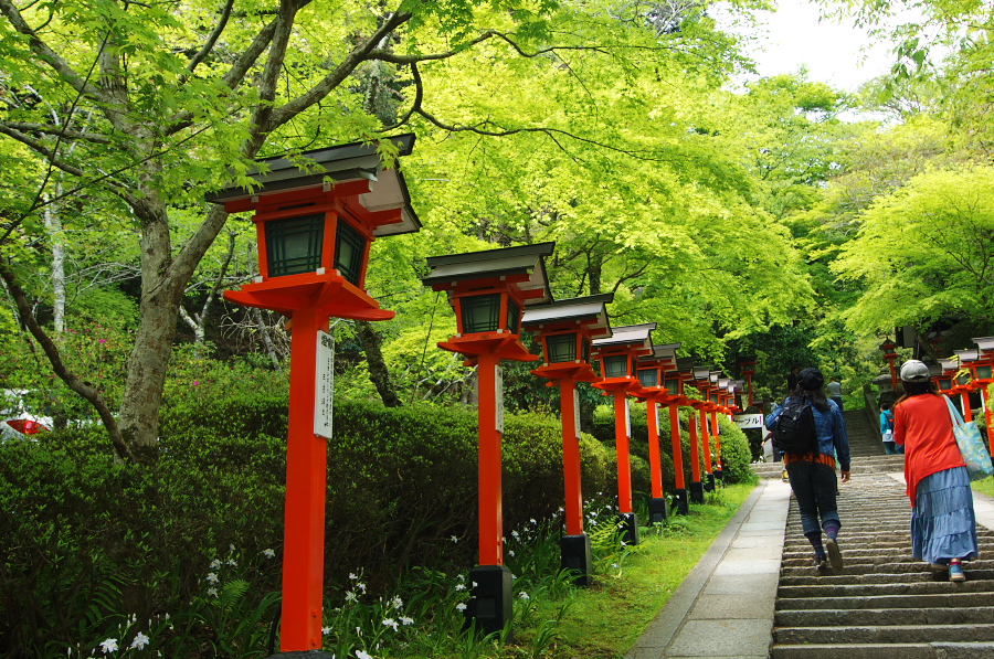 IMGP3961.jpg(617299 byte)