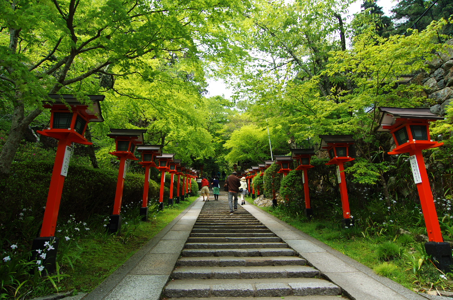 IMGP3963.jpg(623158 byte)