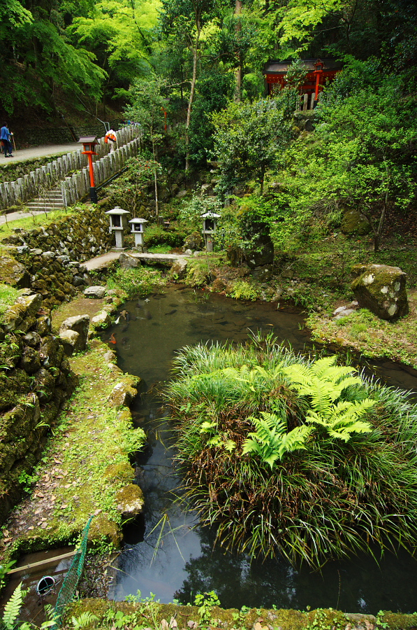 IMGP3973.jpg(680125 byte)