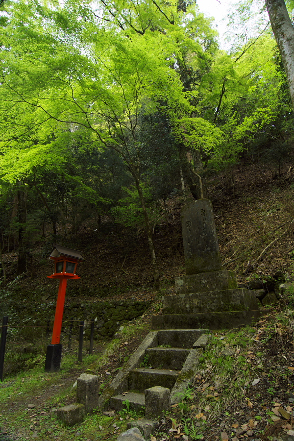 IMGP3975.jpg(588391 byte)