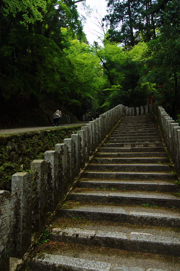 IMGP3981.jpg(524728 byte)