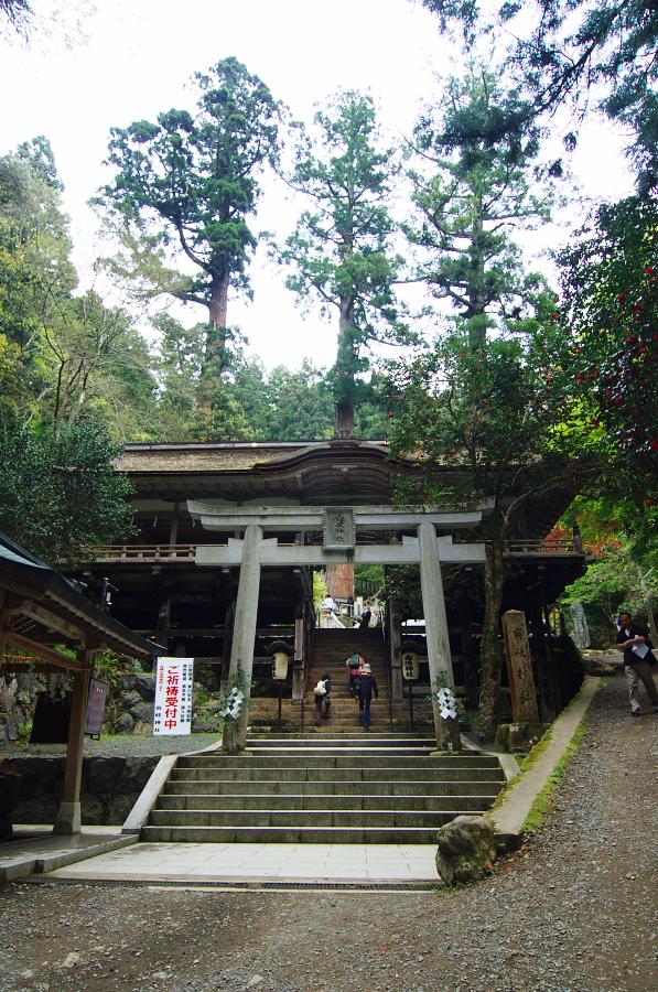 IMGP3985.jpg(560471 byte)