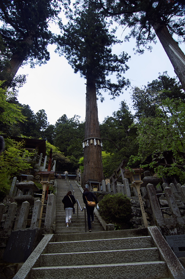 IMGP3991.jpg(496335 byte)