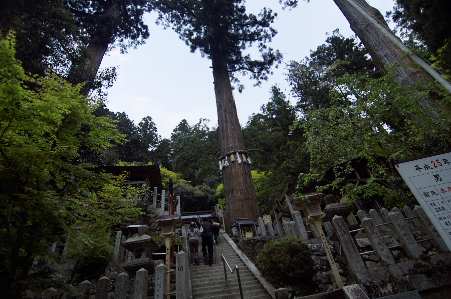 IMGP3993.jpg(482087 byte)