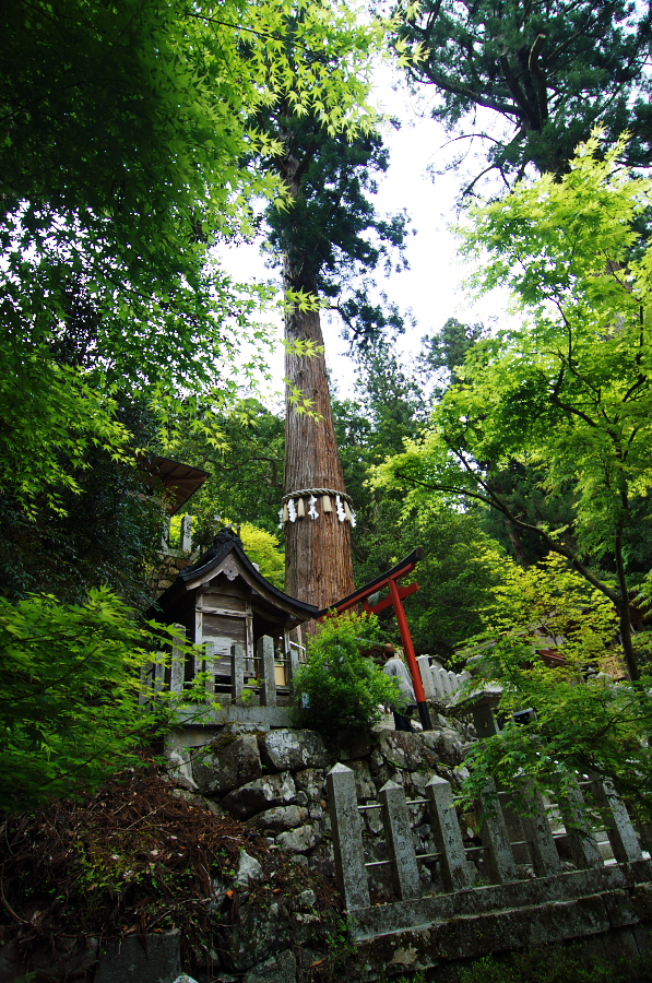 IMGP3995.jpg(640852 byte)