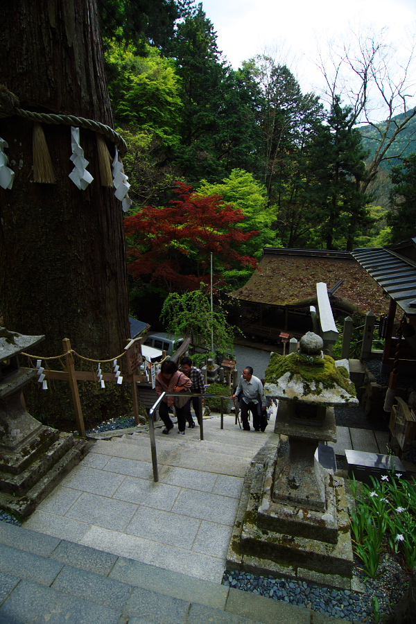 IMGP4001.jpg(474426 byte)