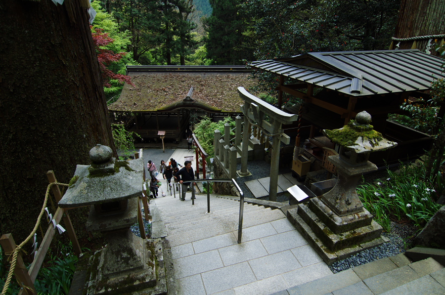 IMGP4005.jpg(471879 byte)