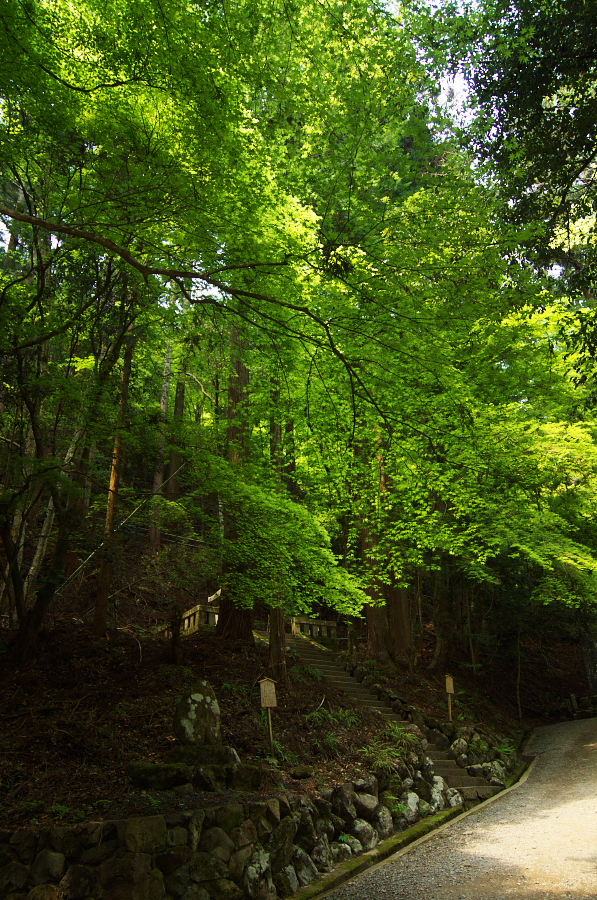 IMGP4007.jpg(623552 byte)