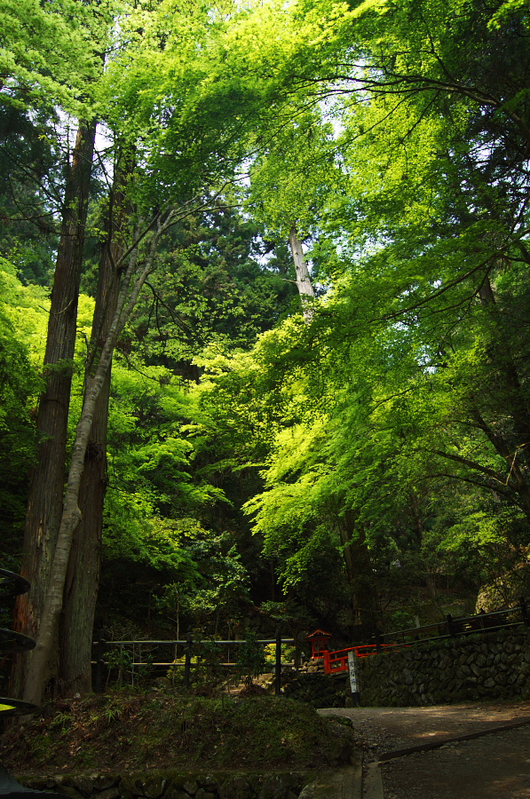 IMGP4012.jpg(611408 byte)