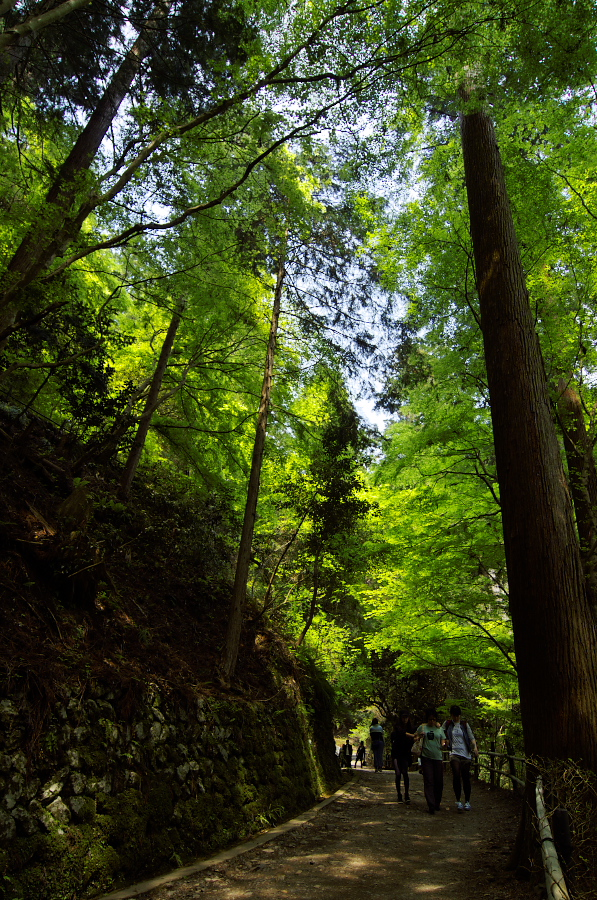 IMGP4018.jpg(610873 byte)