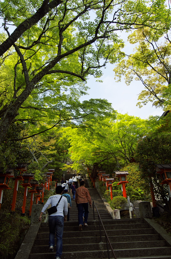 IMGP4026.jpg(602835 byte)