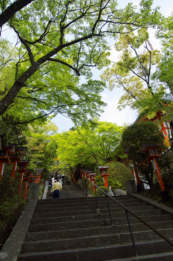 IMGP4030.jpg(592342 byte)