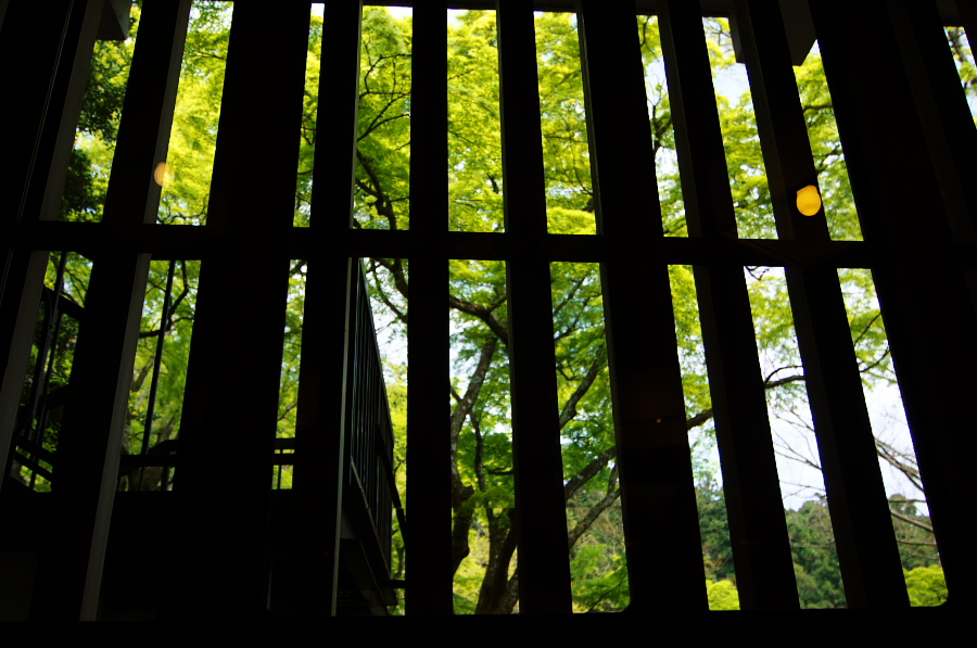 IMGP4037.jpg(287633 byte)