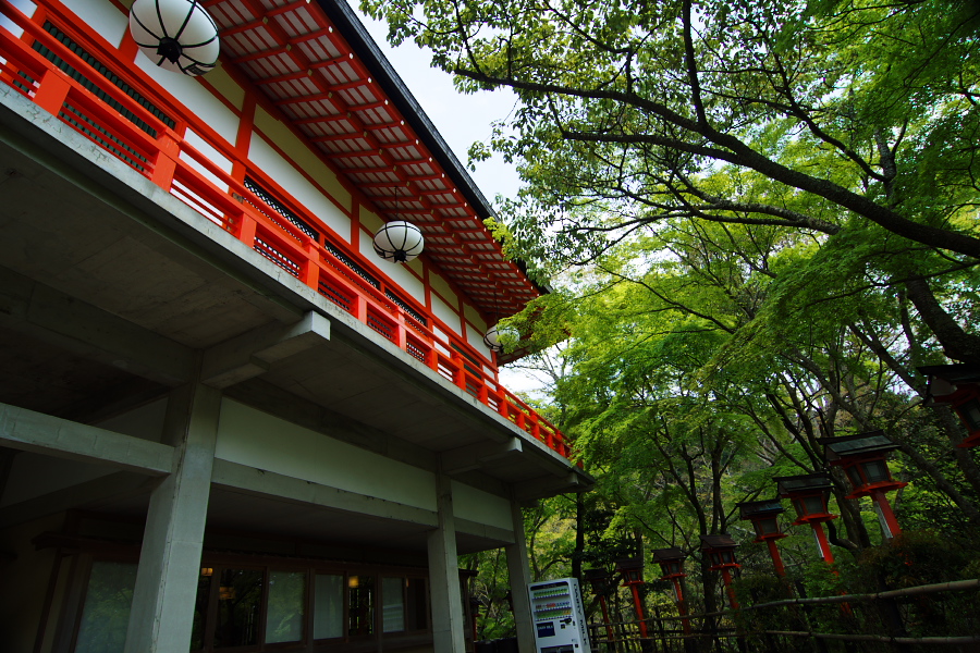 IMGP4039.jpg(504929 byte)