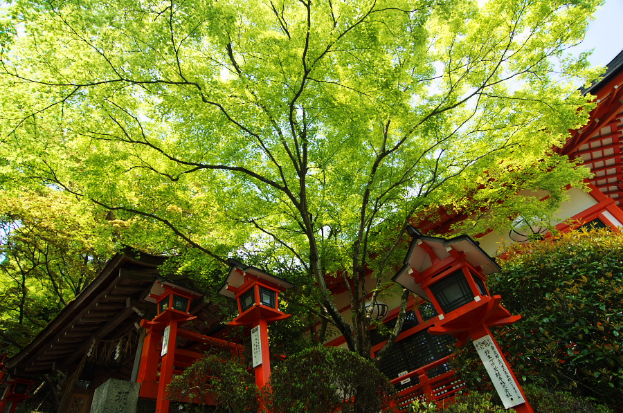 IMGP4047.jpg(680321 byte)