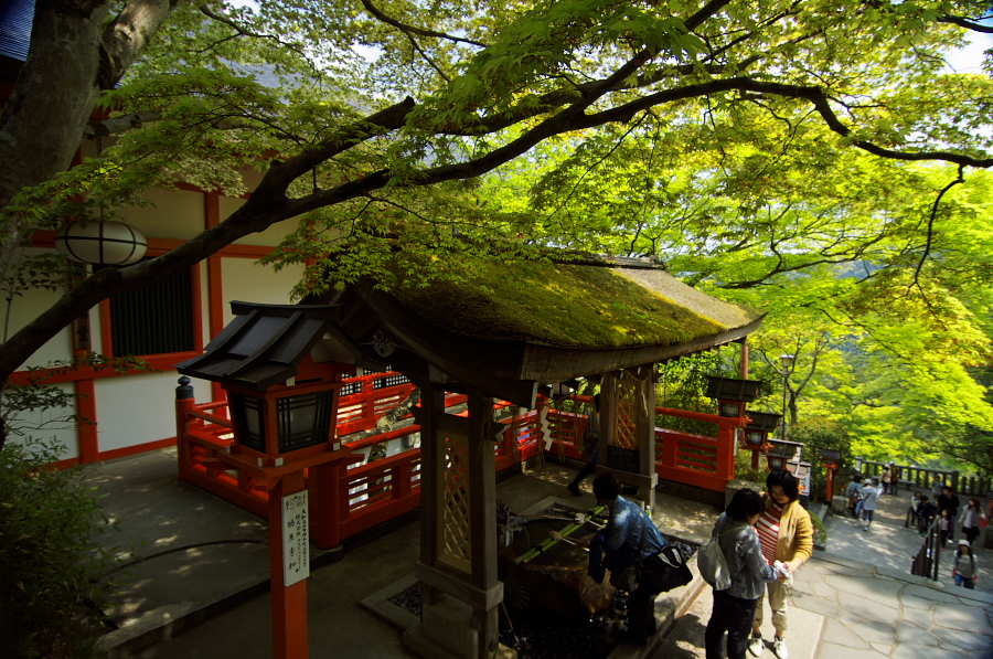 IMGP4059.jpg(504633 byte)