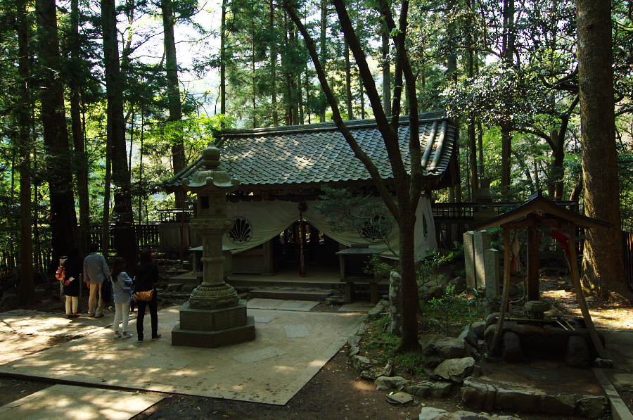 IMGP4066.jpg(554063 byte)