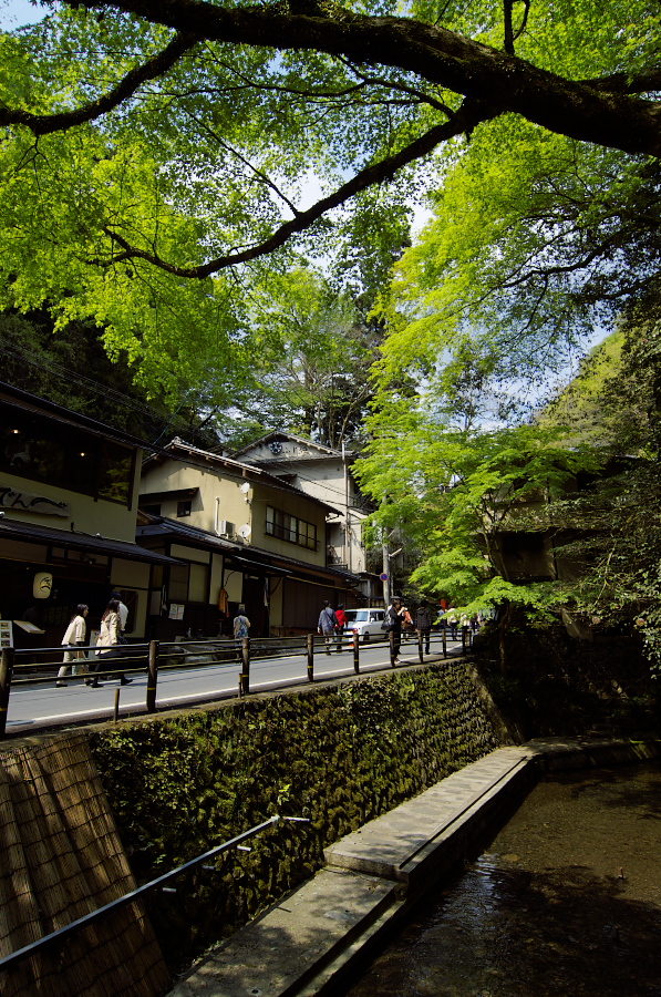 IMGP4072.jpg(592037 byte)