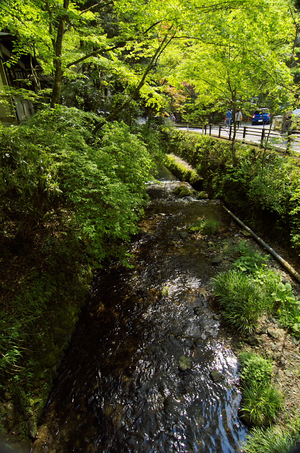 IMGP4077.jpg(650743 byte)