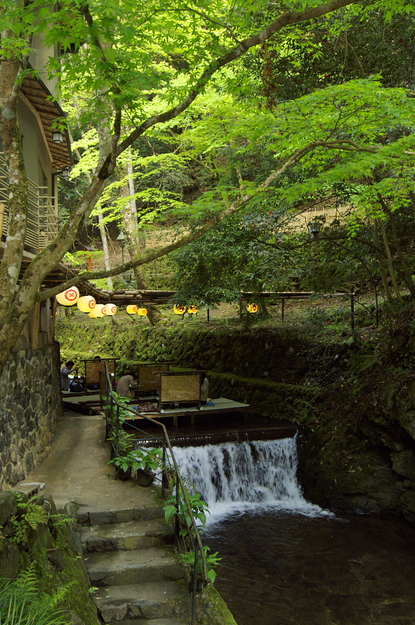 IMGP4082.jpg(555046 byte)