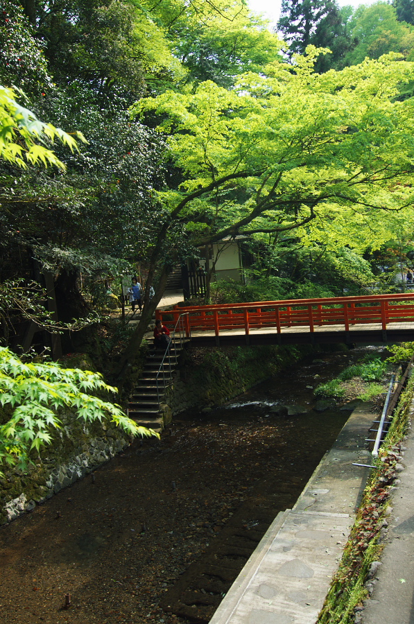 IMGP4085.jpg(583462 byte)