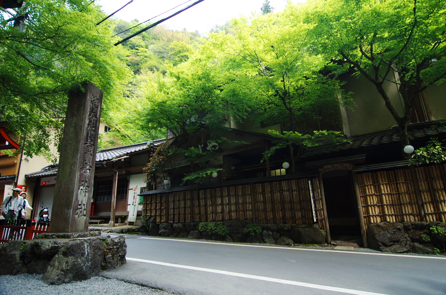 IMGP4093.jpg(482398 byte)