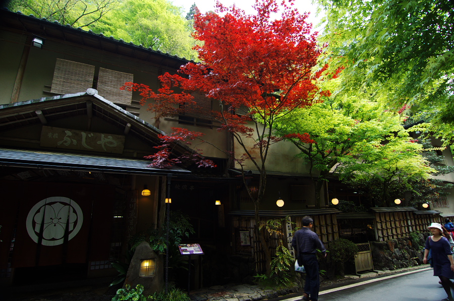 IMGP4094.jpg(475842 byte)