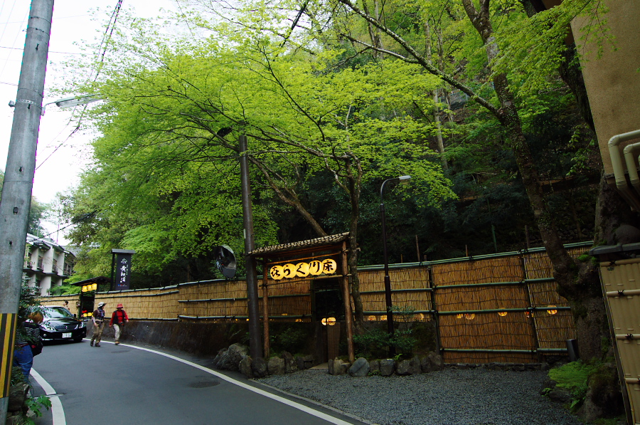 IMGP4138.jpg(524124 byte)