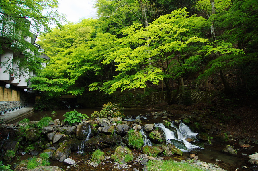 IMGP4144.jpg(577743 byte)