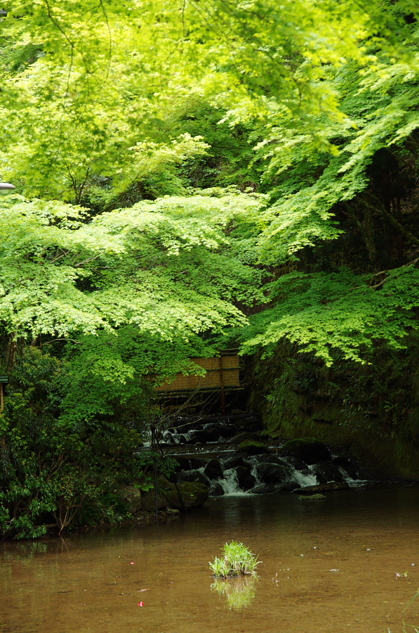 IMGP4149.jpg(541421 byte)