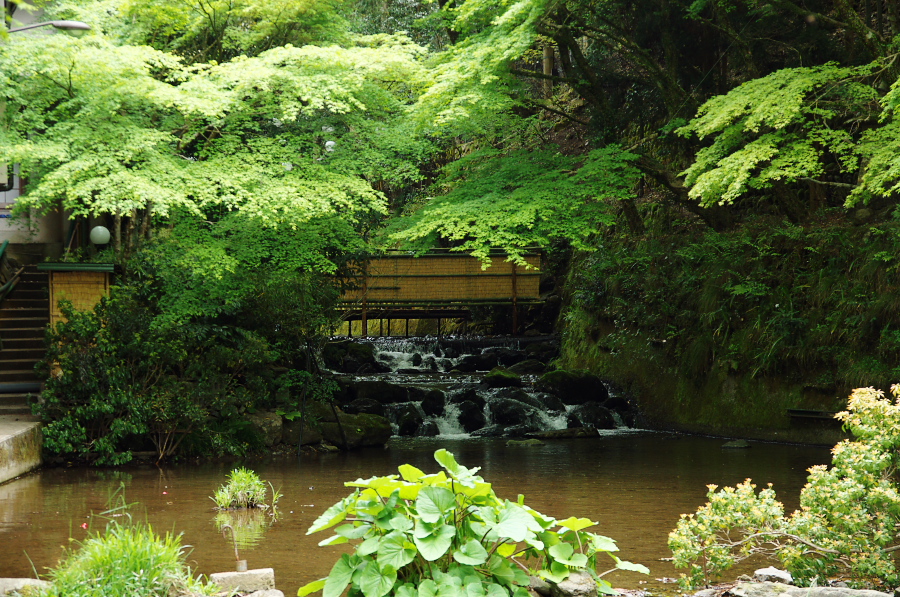 IMGP4154.jpg(545822 byte)