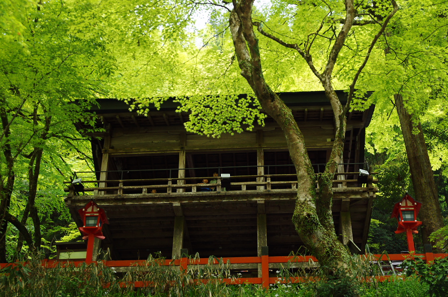 IMGP4157.jpg(550524 byte)