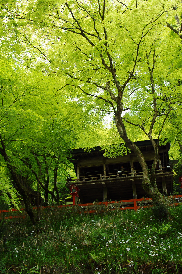 IMGP4158.jpg(642837 byte)