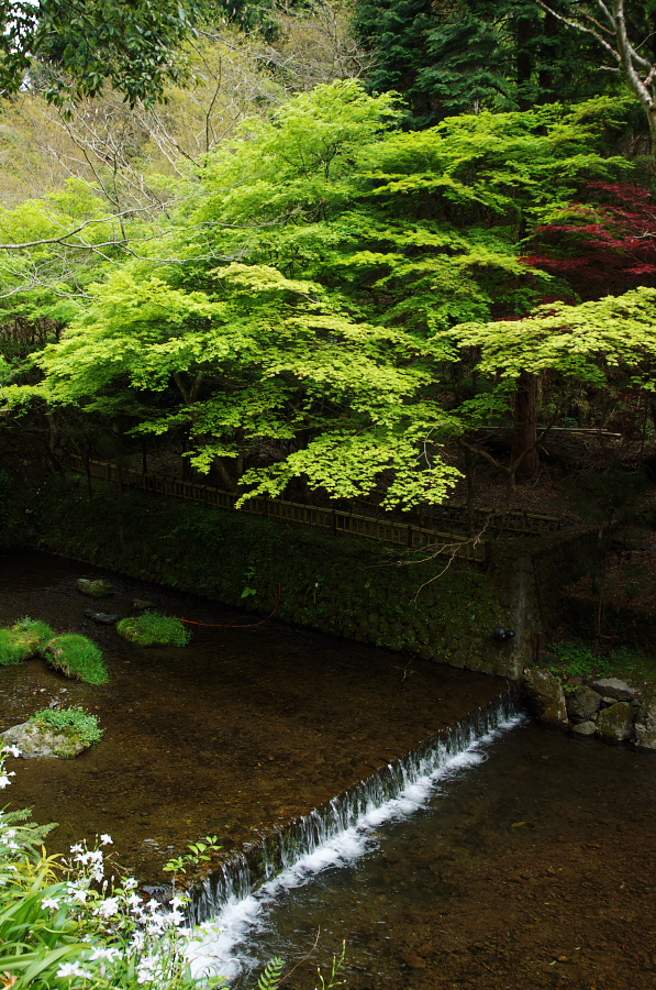 IMGP4171.jpg(561627 byte)