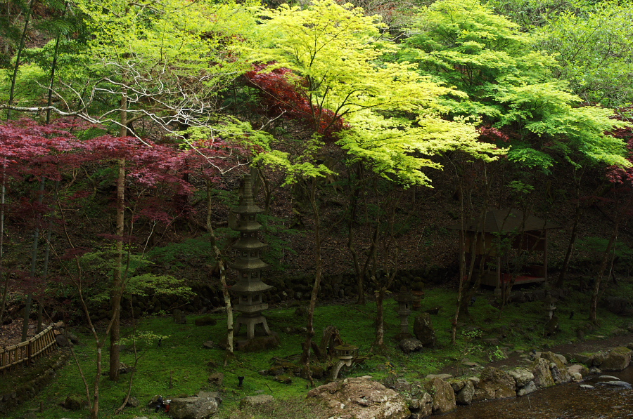 IMGP4173.jpg(568572 byte)