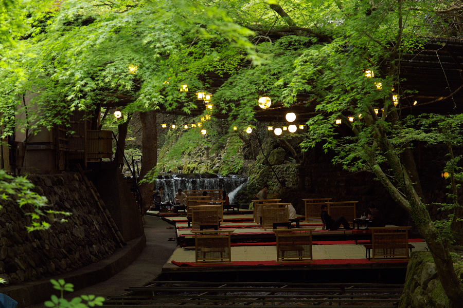 IMGP4178.jpg(490236 byte)