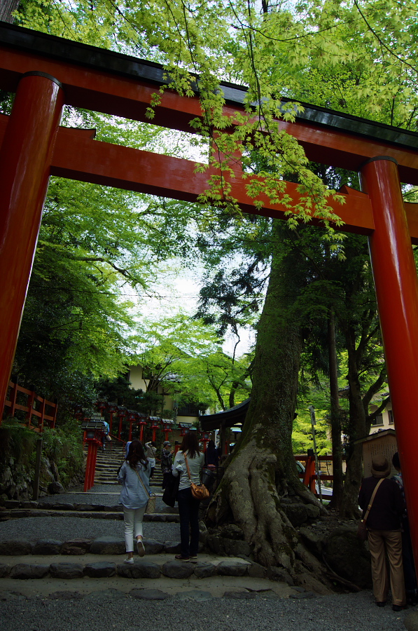 IMGP4088.jpg(515173 byte)