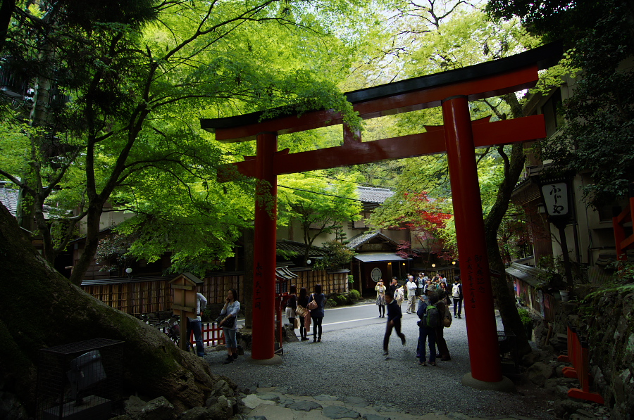 IMGP4096.jpg(507108 byte)