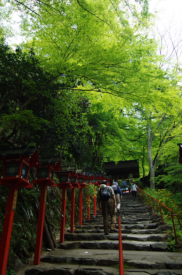 IMGP4106.jpg(587294 byte)